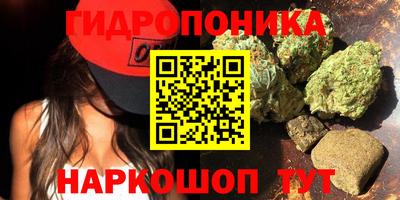 наркотики Новодвинск