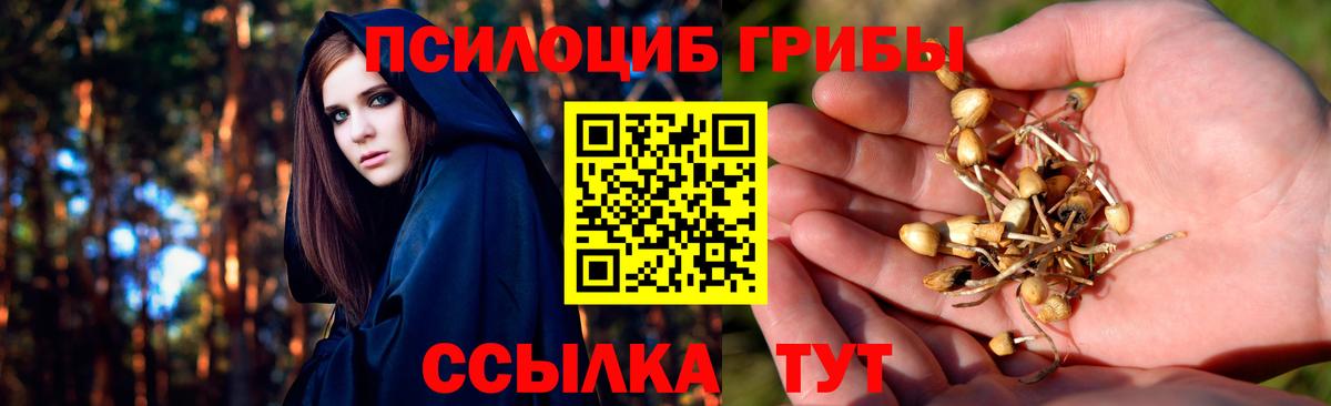 Псилоцибиновые грибы мицелий Сургут